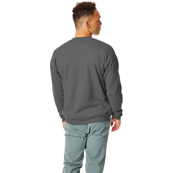 Hanes adult EcoSmart® fleece crewneck sweatshirt.... from ASI 34063 alphabroder