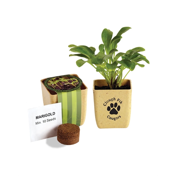 1.75" x 2.5" x 2.13" planter kit with renewable material pot,... from ASI 79530 Prime Line