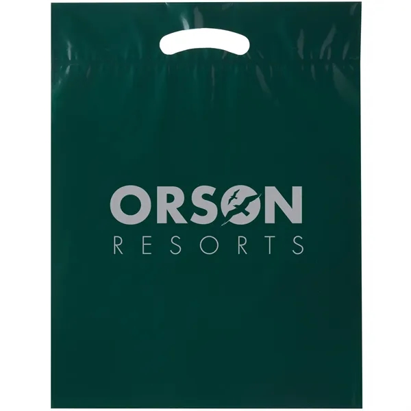 15" x 19" x 3" LDPE plastic bag with fold over... from ASI 35290 American Ad Bag Co