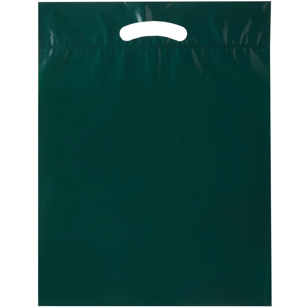 15" x 19" x 3" LDPE plastic bag with fold over... from ASI 35290 American Ad Bag Co