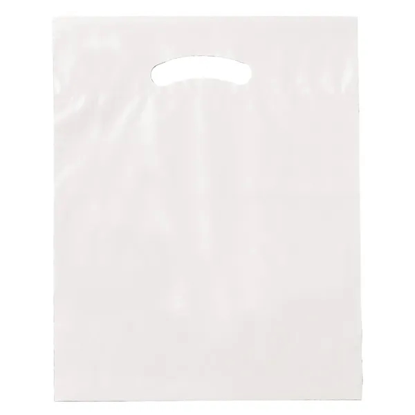 15" x 19" x 3" LDPE plastic bag with fold over... from ASI 35290 American Ad Bag Co