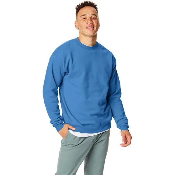 Hanes adult EcoSmart® fleece crewneck sweatshirt.... from ASI 34063 alphabroder