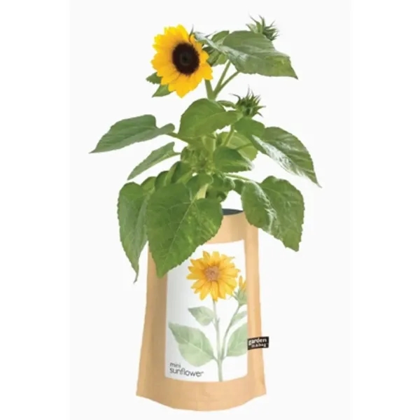 Sunflower Garden... from ASI 89971 Stuff A Mug