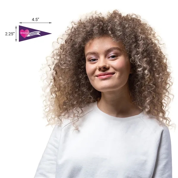 2.25" H x 4.5" W Mini Magnetic Felt Pennants... from ASI 80228 Quinn