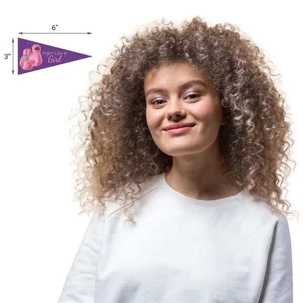 3" H x 6" W Mini Magnetic Felt Pennants... from ASI 80228 Quinn