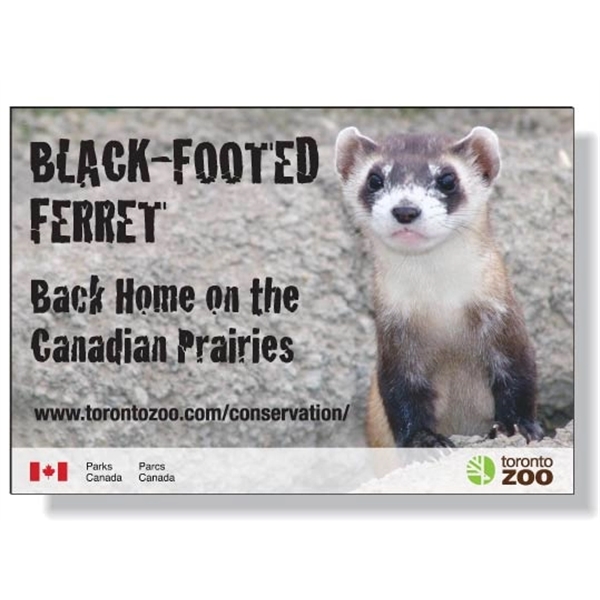 Custom Shape Vinyl Memo Magnet Full Color Imprint & varnish.... from ASI 87400 ArtechPro