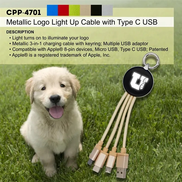 Metallic Logo Light Up Cable with Type C USB... from ASI 30208 A P Specialties / AP Specialties