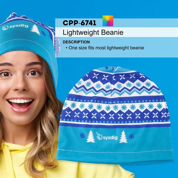 LIGHTWEIGHT BEANIE... from ASI 30208 A P Specialties / AP Specialties