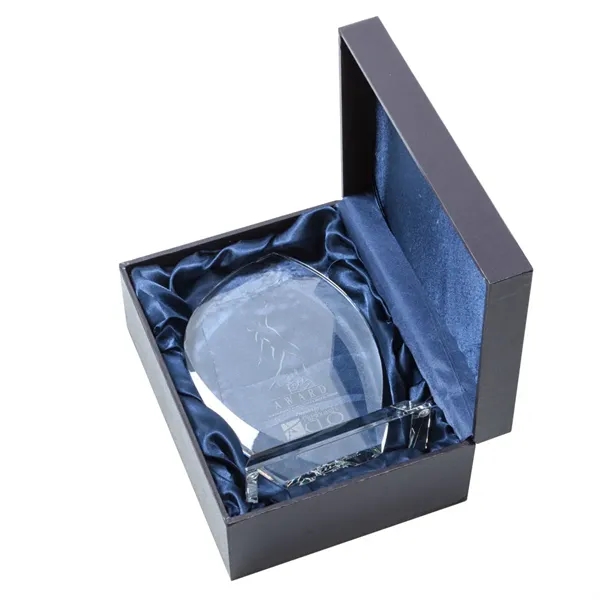 Wichita VividPrint™ Award on Newhaven -  Starfire... from ASI 84592 St Regis Group / St Regis