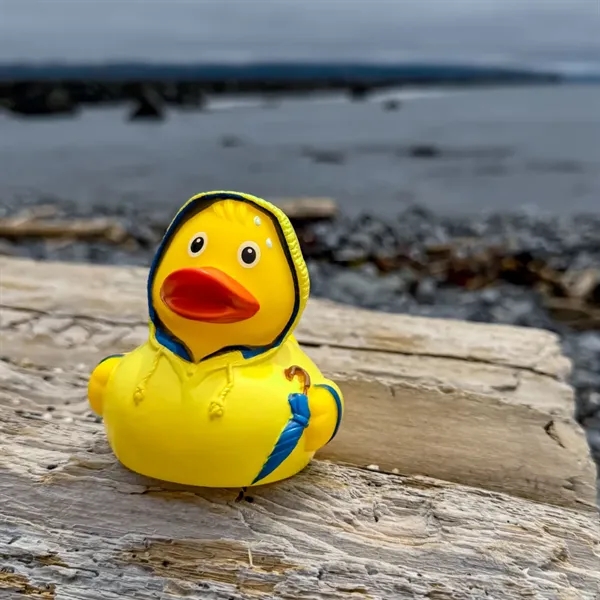 Bad weather themed rubber duck.... from ASI 34415 Alpi International LTD