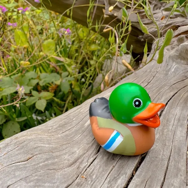Mallard shaped mini rubber duck.... from ASI 34415 Alpi International LTD