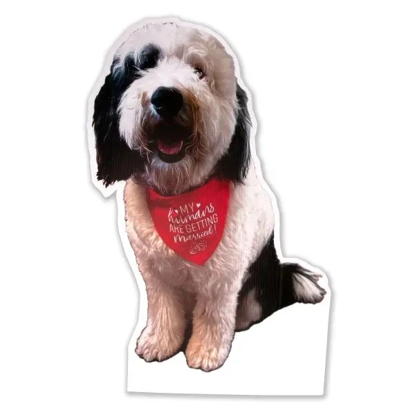 Custom Yard Sign - Up to 22" x 22" - Full... from ASI 77280 Pepco Poms