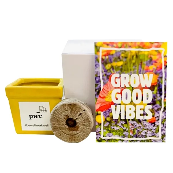 Grow Good Vibes Flower Seed Kit... from ASI 58295 Groline