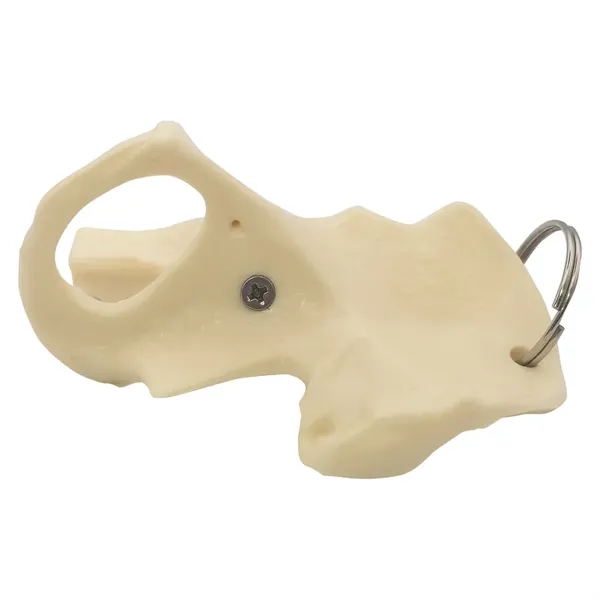 Hip bone shaped key ring.... from ASI 34415 Alpi International LTD