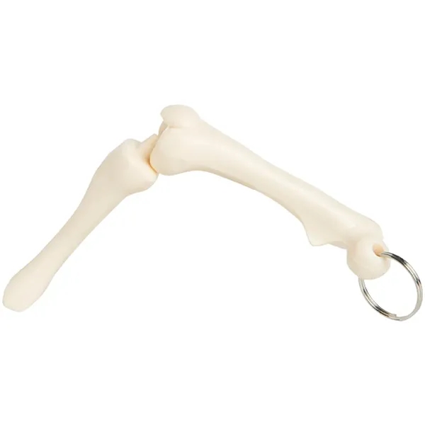 Knee joint bone keychain with metal split ring.... from ASI 34415 Alpi International LTD