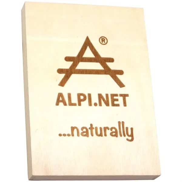 4" x 6" wooden shapes puzzle.... from ASI 34415 Alpi International LTD