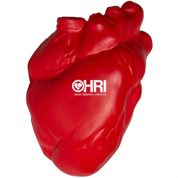 4" x 2.5" anatomic heart shaped stress reliever.... from ASI 34415 Alpi International LTD