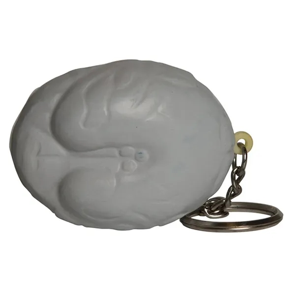 Brain shaped stress reliever with key ring.... from ASI 34415 Alpi International LTD