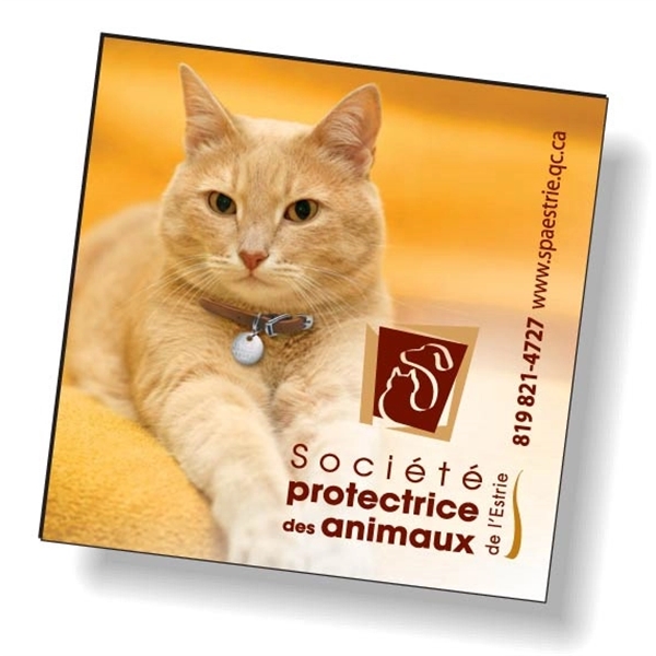 2 X 2 Magnet Special Full Color Imprint. White magnetic vinyl.... from ASI 87400 ArtechPro