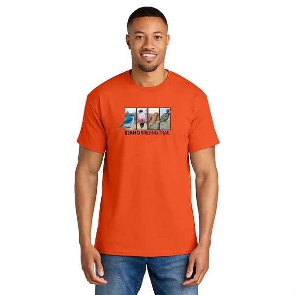Gildan® - DryBlend® 50 Cotton/50 Poly T-Shirt... from ASI 30208 A P Specialties / AP Specialties