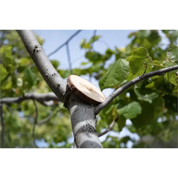 Beverage coaster made of natural wood.... from ASI 34415 Alpi International LTD