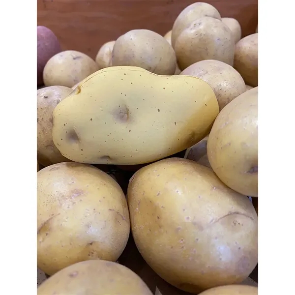 Potato shaped stress reliever.... from ASI 34415 Alpi International LTD