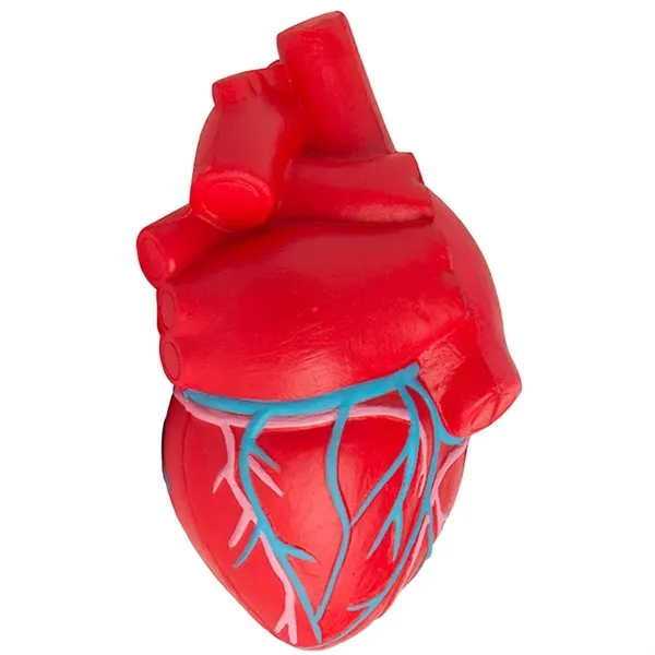 Anatomic heart with veins stress reliever.... from ASI 34415 Alpi International LTD