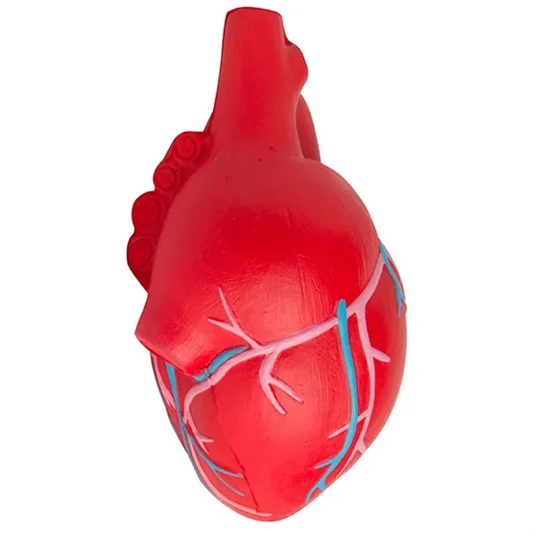 Anatomic heart with veins stress reliever.... from ASI 34415 Alpi International LTD
