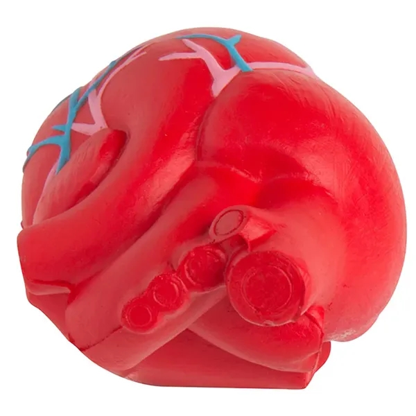 Anatomic heart with veins stress reliever.... from ASI 34415 Alpi International LTD