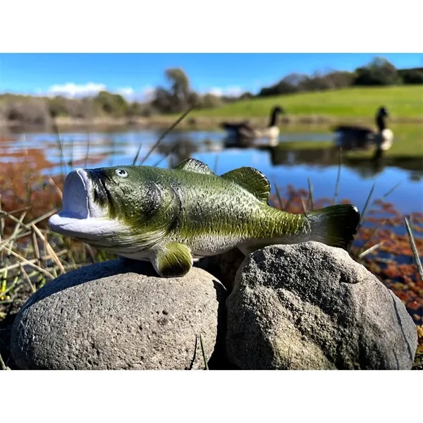 Bass shaped stress reliever.... from ASI 34415 Alpi International LTD