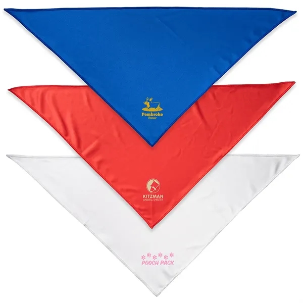 Pet Bandana... from ASI 36730 Ariel Premium Supply Inc