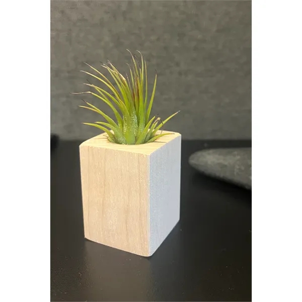 Add a touch of nature to your workspace with this beautifully... from ASI 72657 Active Life Promo / Ingrain