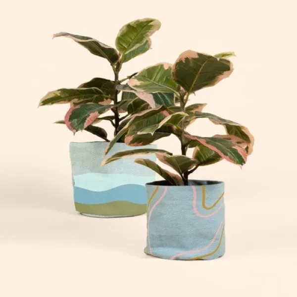 You know how plant pots aren't always the cutest? Easy fix!... from ASI 74710 Numo