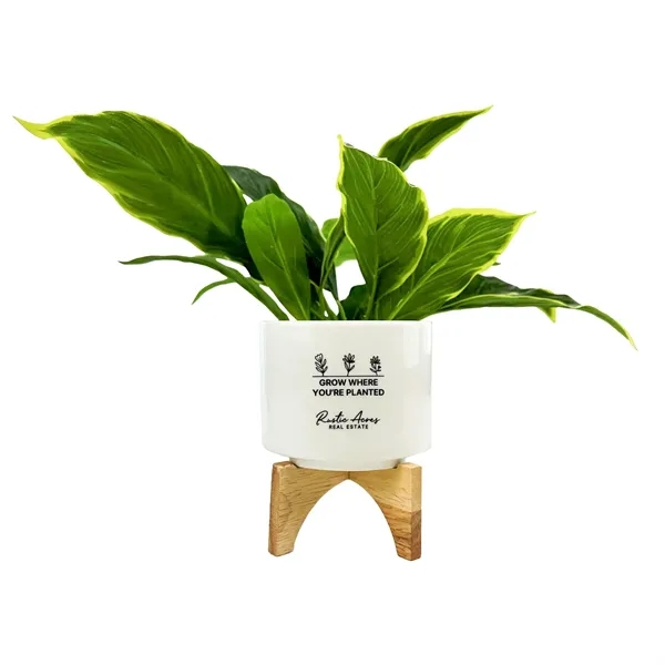 Decorative ceramic planter with bamboo stand, seed packet, and coir pellets.... from ASI 92980 WOV-IN® / Universal Strap/Wov-In Line