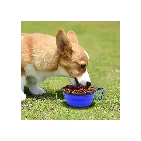 350ml collapsible plastic pet bowl with carabiner.... from ASI 39552 BEL Promo