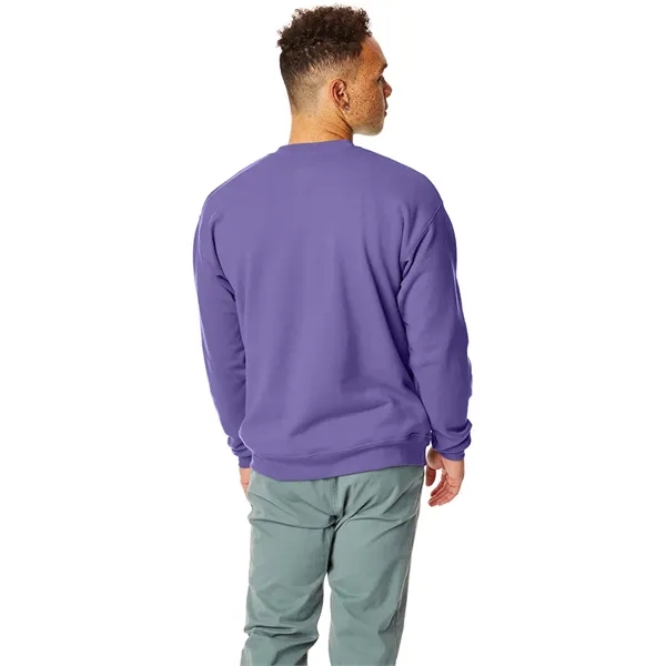 Hanes adult EcoSmart® fleece crewneck sweatshirt.... from ASI 34063 alphabroder