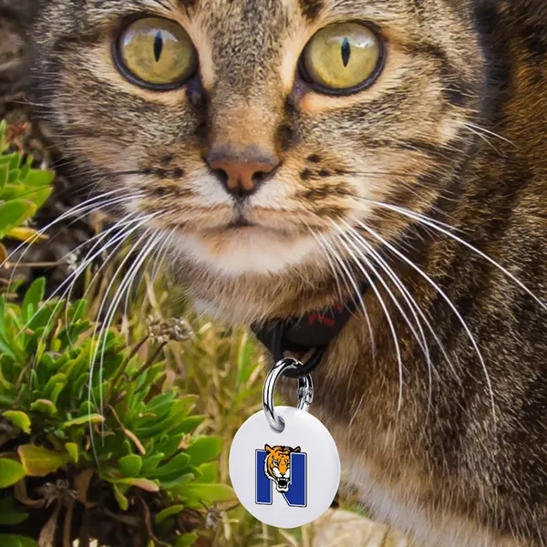 TrackPro Max is a smart tag that works with ISO "Find... from ASI 90154 Sunjoy Group Inc