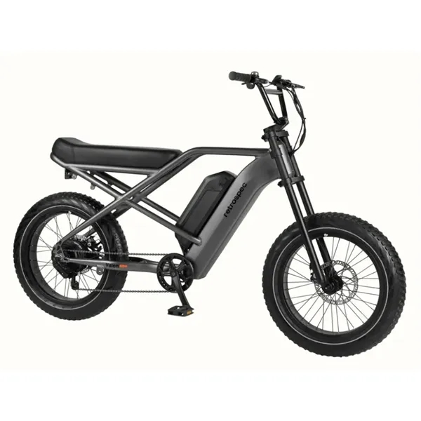 20mph Top Assisted Speed,Up to 49-Mile Range,750W Planetary Geared Hub Motor,48V/500Wh... from ASI 72657 Active Life Promo / Active Life Promo