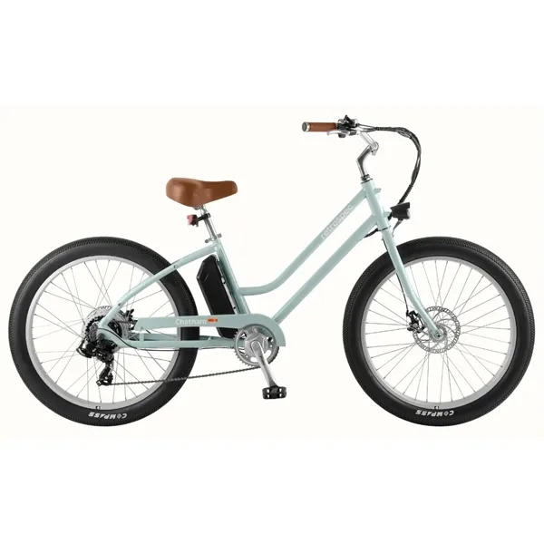 20 mph Top Assisted Speed,Up to 38-Mile Range,350W Planetary Geared Hub... from ASI 72657 Active Life Promo / Active Life Promo