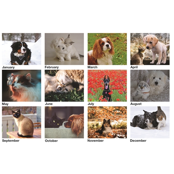 12 month tent desk calendar featuring photos of adorable dogs and... from ASI 50873 Drum-Line / Drum-line Inc