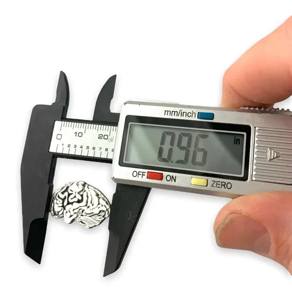 3D model of the human brain. Blank.... from ASI 96235 Wehr Industries Inc