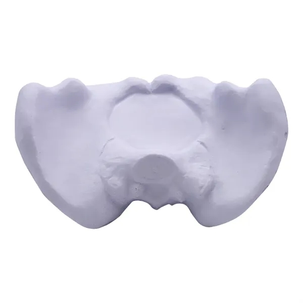 3.5" x 2" hip bone shaped stress reliever made of polyurethane... from ASI 34415 Alpi International LTD