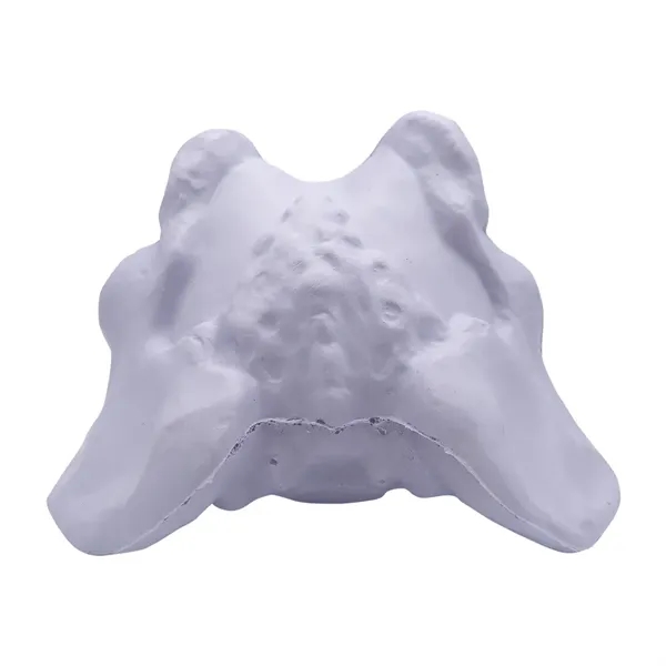3.5" x 2" hip bone shaped stress reliever made of polyurethane... from ASI 34415 Alpi International LTD