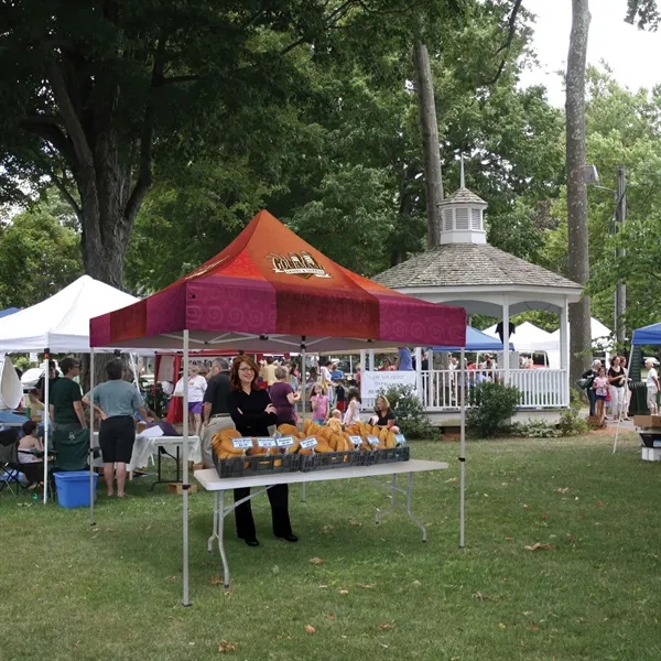 Premium tent kit with a 10' tent, crank-up canopy, stake kit,... from ASI 87188 Showdown Displays