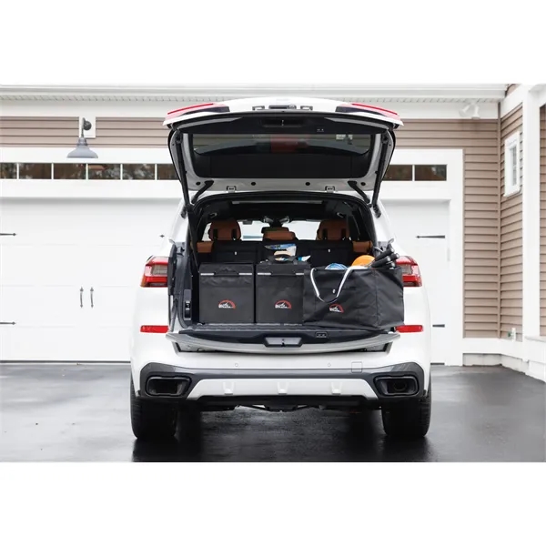 13" x 24" x 14" cargo organizer with handles and lid.... from ASI 56070 Gemline / Gemline®