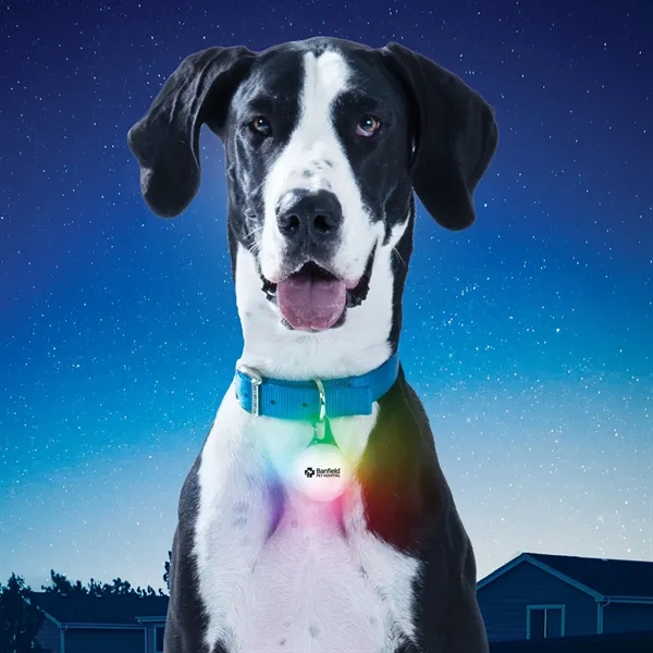 The new SpotLit XL isn't just bigger and brighter, it's micro... from ASI 46170 Compass Industries Inc