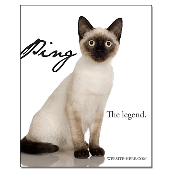 Magnet - 3.25x4 Square Corners - 20 Mil.... from ASI 91760 Tradenet Publishing / TradeNet Line