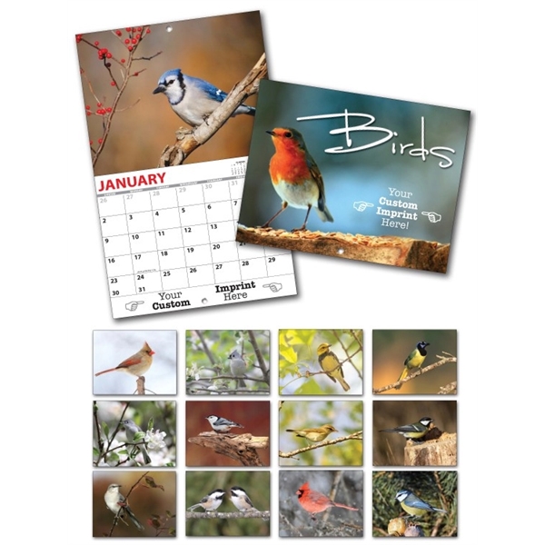 13 Month Custom Appointment Wall Calendar - BIRDS... from ASI 91760 Tradenet Publishing / TradeNet Line