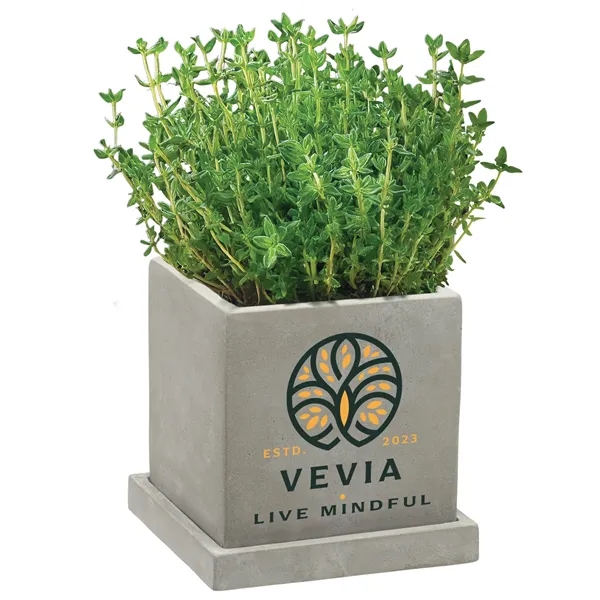 Stone planter set that is great for growing small plants with... from ASI 62190 Illini