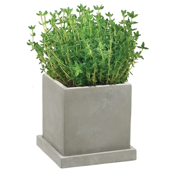 Stone planter set that is great for growing small plants with... from ASI 62190 Illini